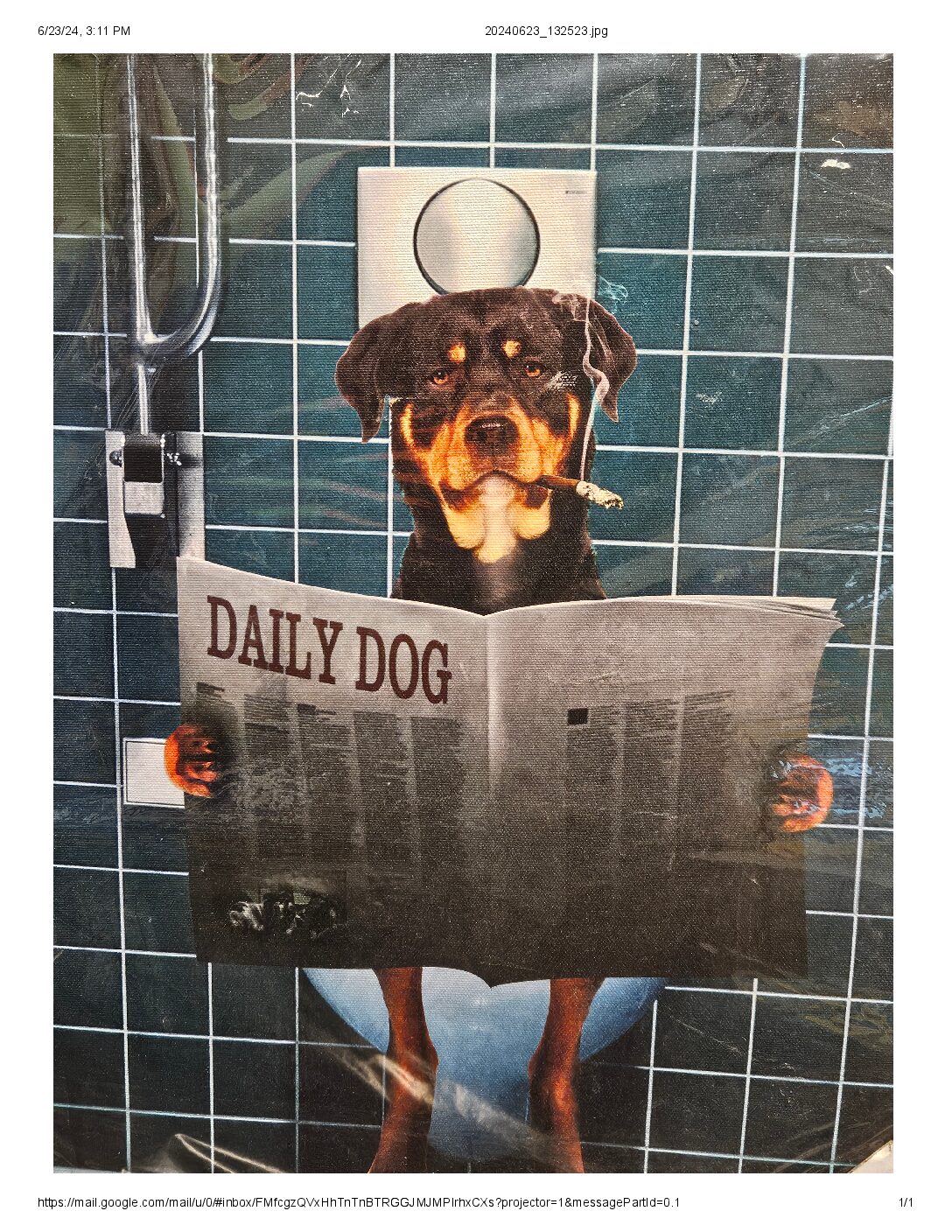 Daily Dog Print