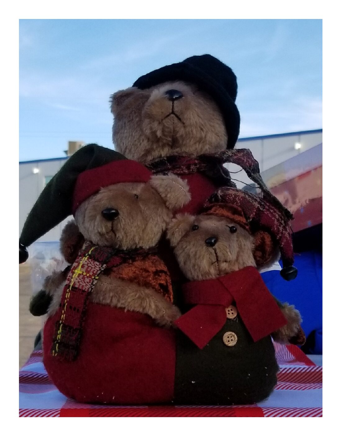 Christmas Bears